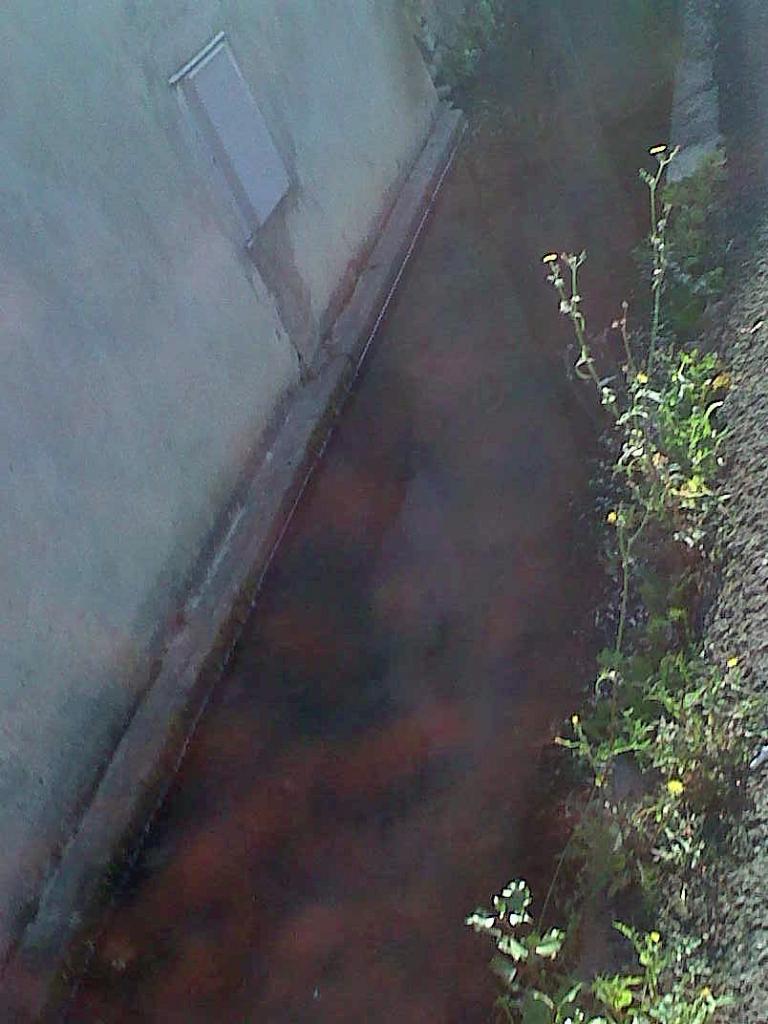 IMG05983-20140907-0955