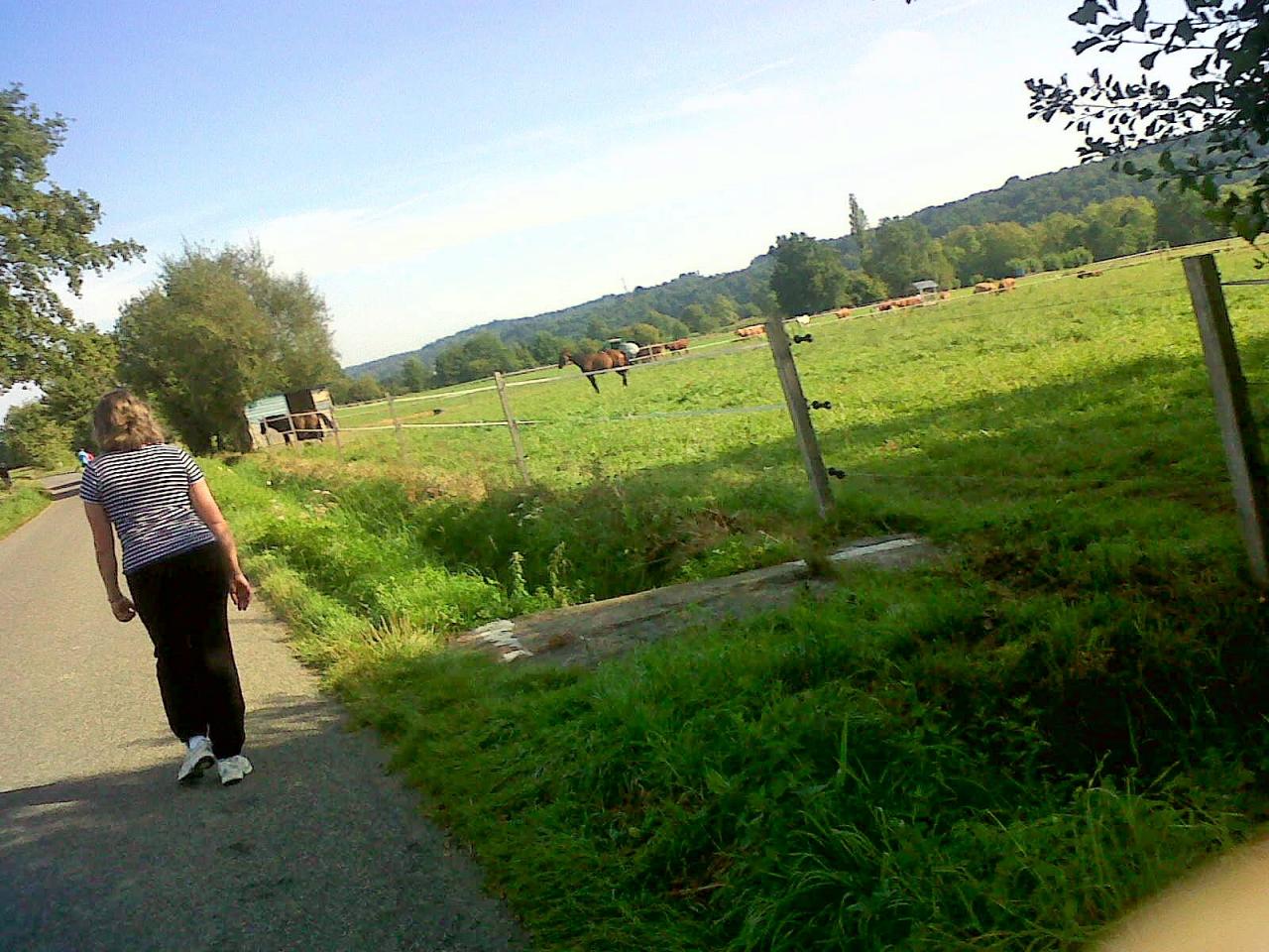 IMG06010-20140907-1029