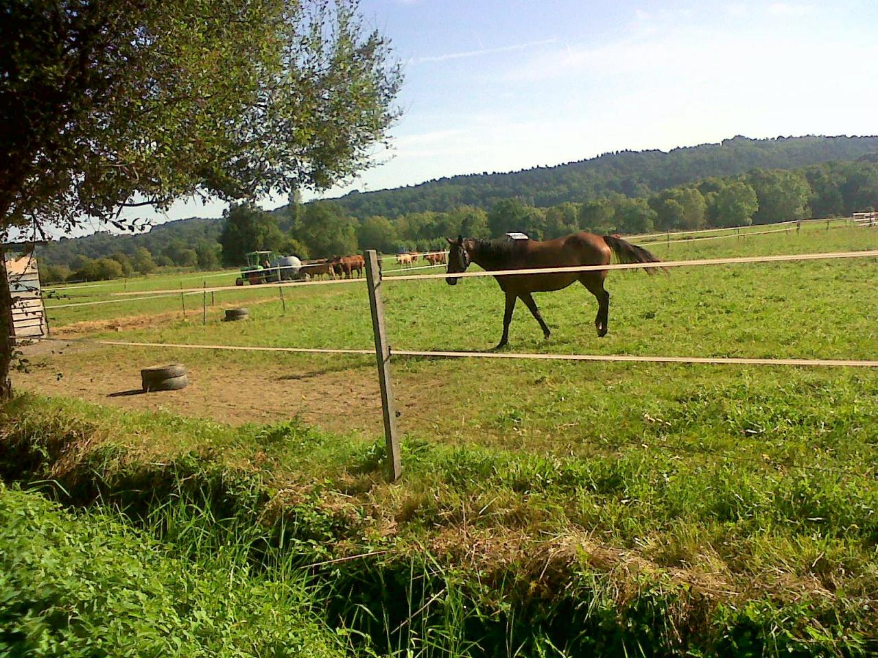 IMG06011-20140907-1030